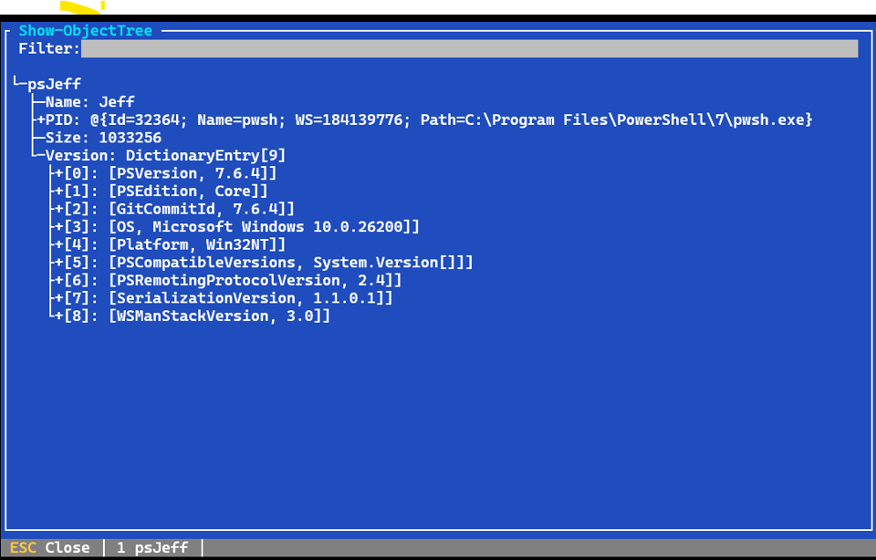 Showing a custom object
