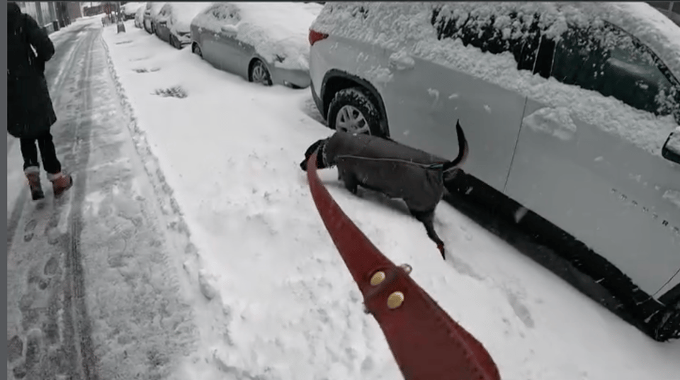 A Week of Being Kin Lane - February 9th, 2026