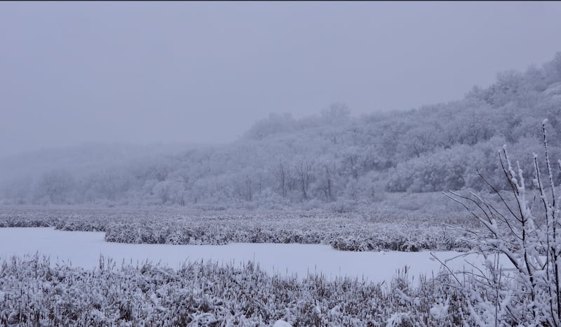 Pleasant Valley Lakelet on a day perhaps better for looking at than tramping in. / Photo by Steve Dietz