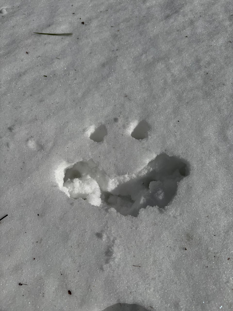 A smiley face in the snow, giving "could a depressed person make this" vibes.