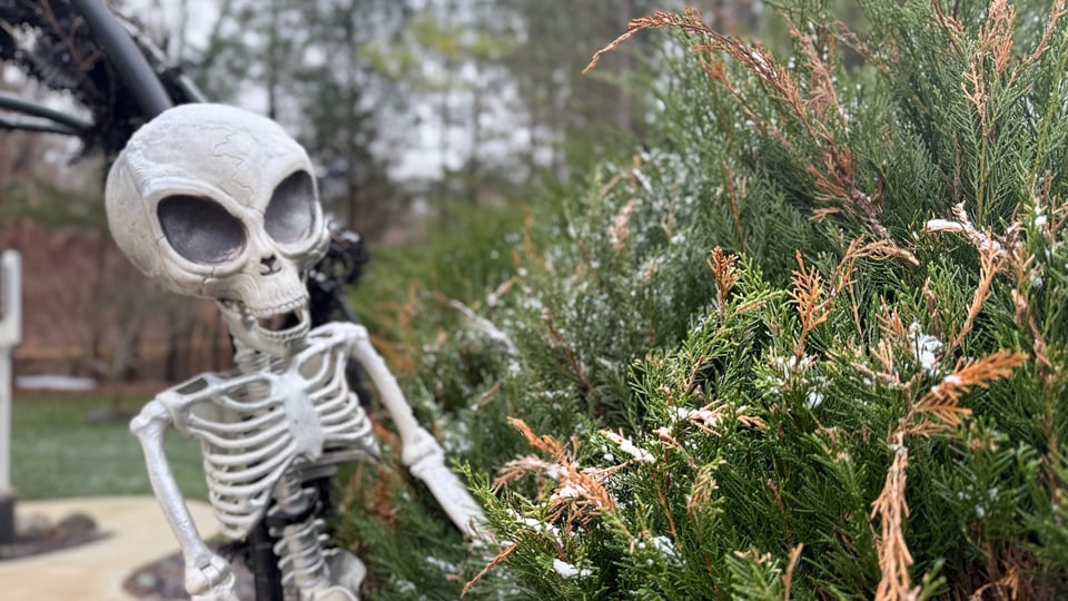 Good Morning. Hello. How are you? #1633