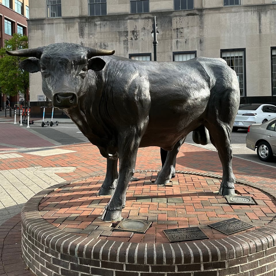 photo of a statue of a bull in Durham, NC