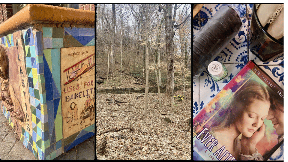 3 photos. left to right: a planter near the Yonkers train station depicting the invention of Bakelite; a stand of bare trees with a small patch of daffodils; a sleeve of Thin Mints, a cup of iced coffee, the DVD of Ever After, and a bottle of green nail polish on a coffee table.