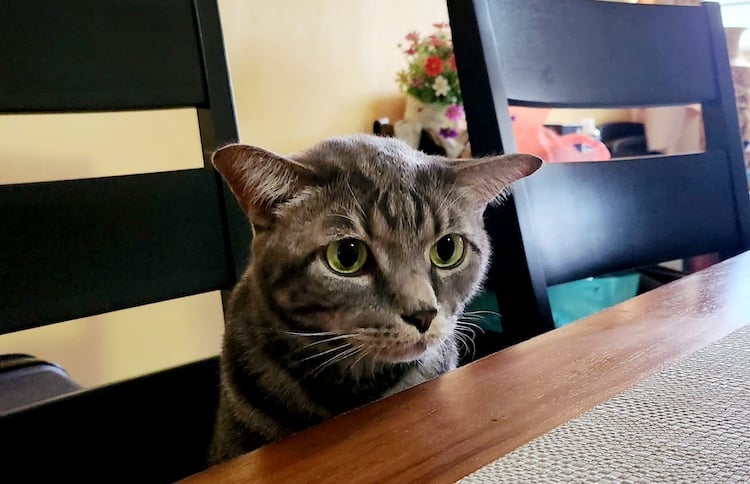 Luca sitting at a table