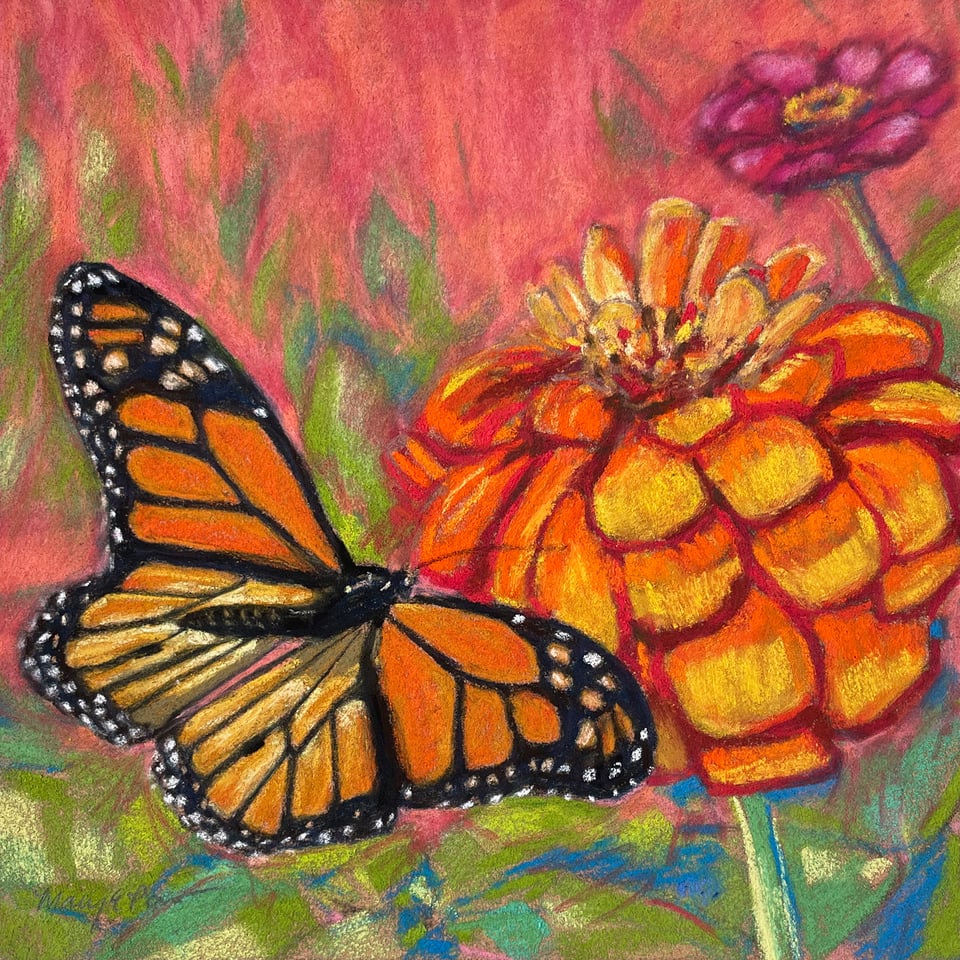 pastel painting of a monarch butterfly by Mary Pow