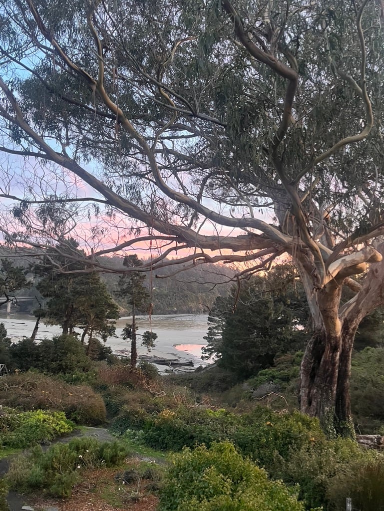 Happy New Year from Mendocino