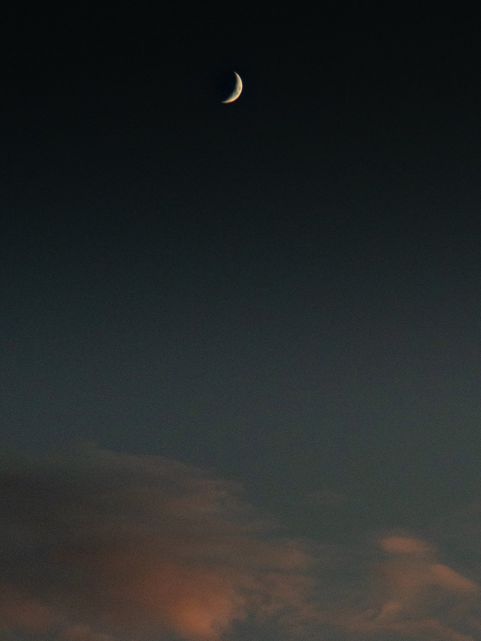 Hiro.Report - 19NOV2023