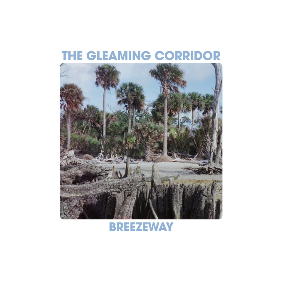 album cover with a photo of a beach at low tide