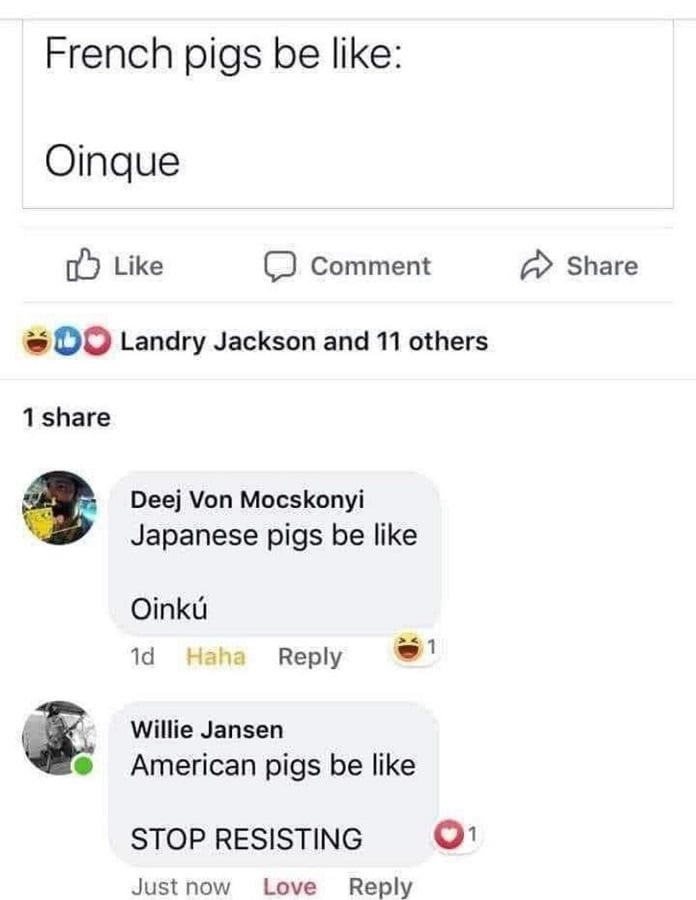 Facebook screenshot. One user: French pigs be like Oinque. Next user: Japanese pigs be like Oinku. Last user: American pigs be like STOP RESISTING