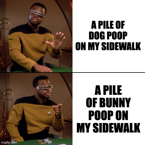 Geordi LaForge No: A pile of dog poop on my sidewalk. Geordi LaForge Yes: a pile of bunny poop on my sidewalk.