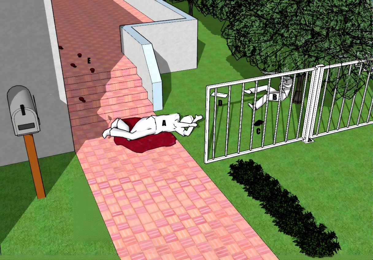 Representation of the crime scene.A. Nicole Brown SimpsonB. Ron GoldmanC. XL Bloomingdales Aris 70263 light leather bloodied left hand brown gloveD. Spectacles in envelopeE. Size 12 Bruno Magli Lorenz