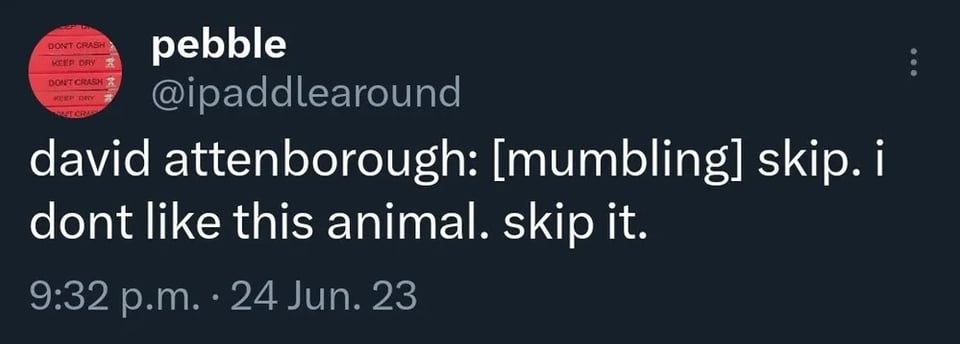 Twitter screenshot. @paddlearound:
david attenborough: [mumbling] skip. i dont like this animal. skip it.