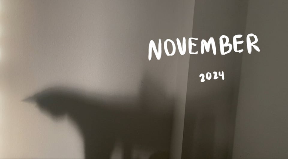 Cover photo of November’s Video Newsletter, a shadow of a cat on a wall