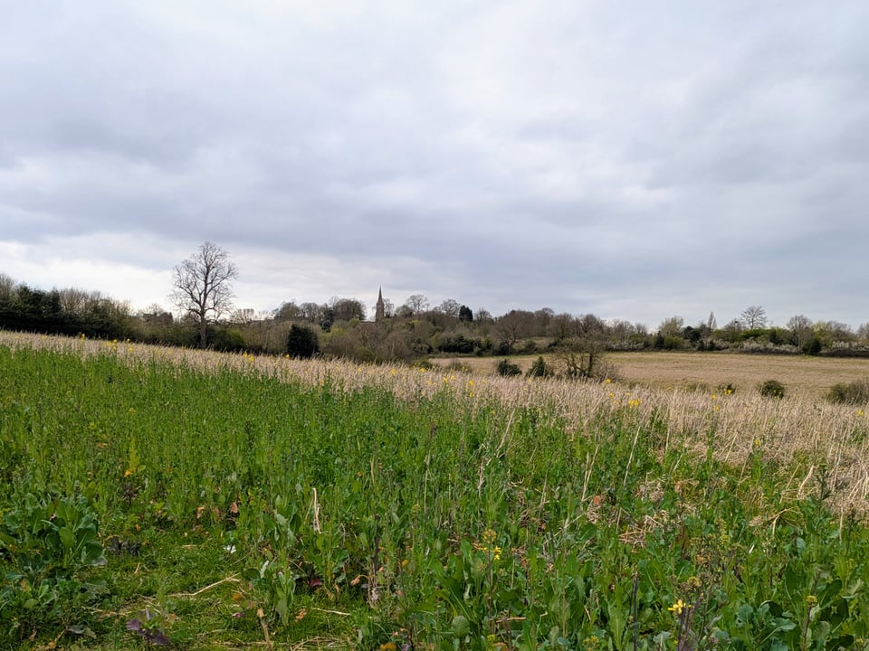 St. Mary’s Church from Bramley Common (April 2026)