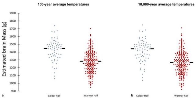 Scatter plot graphs of temperatures vs. brain mass