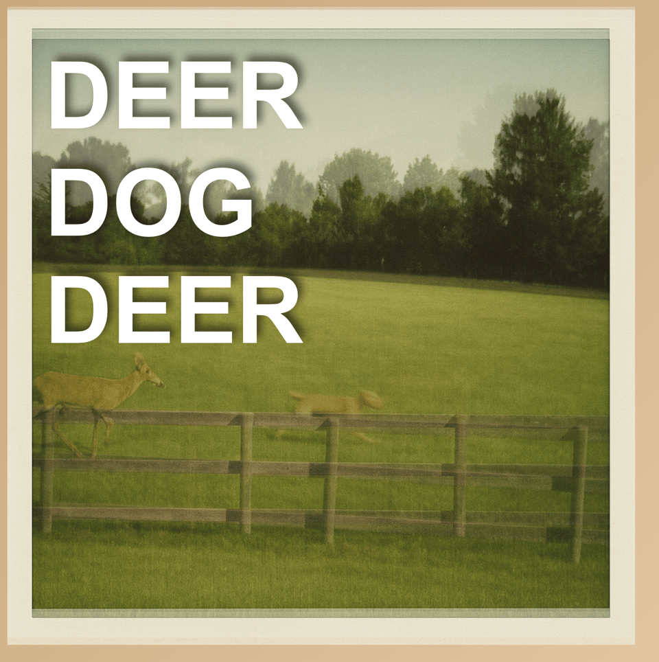 deerdogend