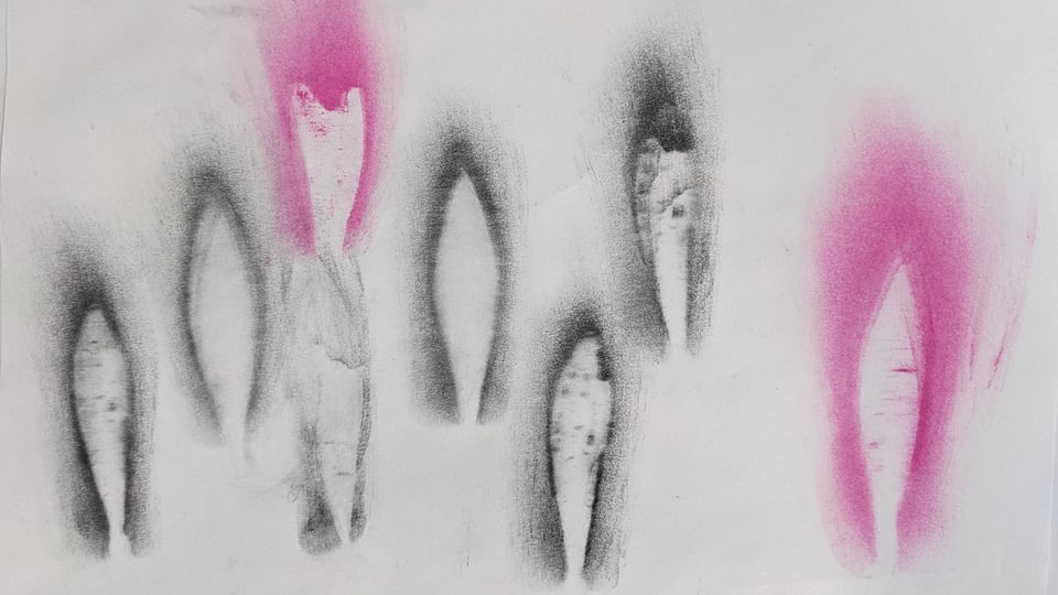 charcoal drawings of ghostly outlines around a small leaf, in black and pink