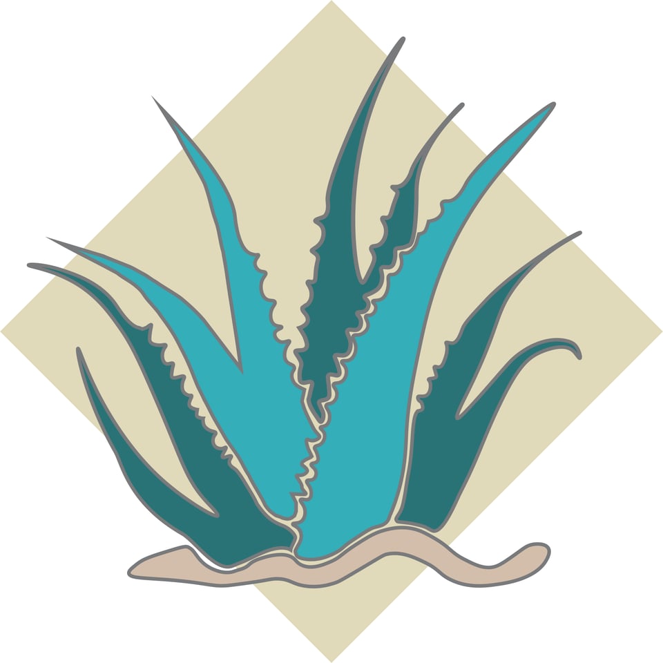 Abstract illustration of Aloe vera.