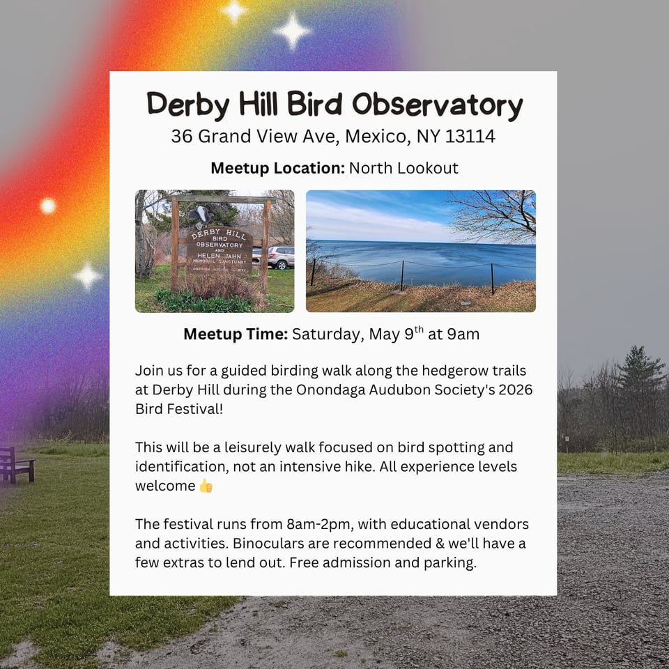 Hike Location: Derby Hill Bird Observatory.
Hike Address: 36 Grand View Ave, Mexico, NY 13114.
Meetup Location: North Lookout.
Meetup Time: Saturday, May 9th at 9am.
Join us for a guided birding walk along the hedgerow trails at Derby Hill during the Onondaga Audubon Society's 2026 Bird Festival!
This will be a leisurely walk focused on bird spotting and identification, not an intensive hike. All experience levels welcome
The festival runs from 8am-2pm, with educational vendors and activities. Binoculars are recommended & we'll have a few extras to lend out. Free admission and parking.