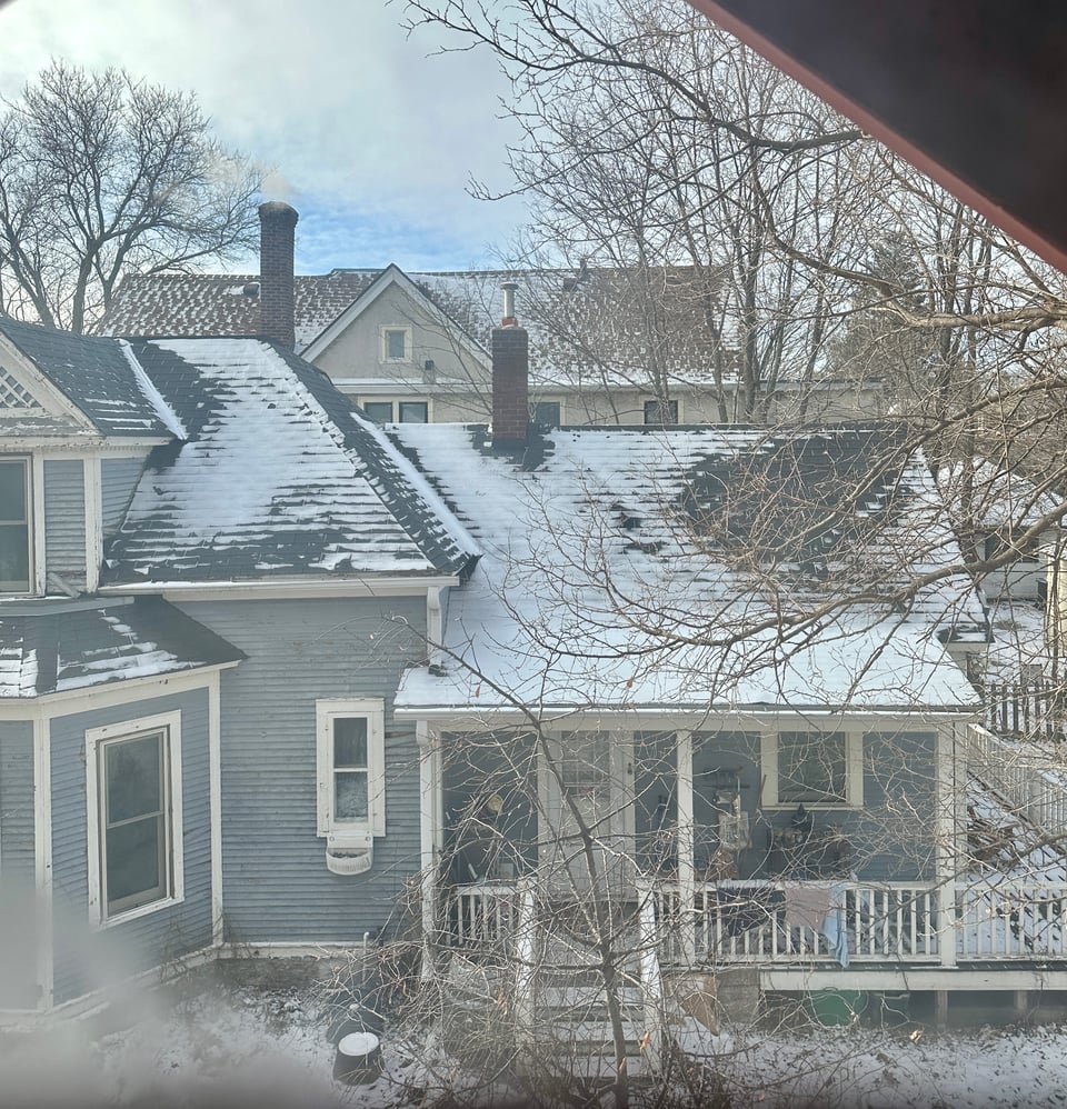 A view of homes on my block from my kitchen window