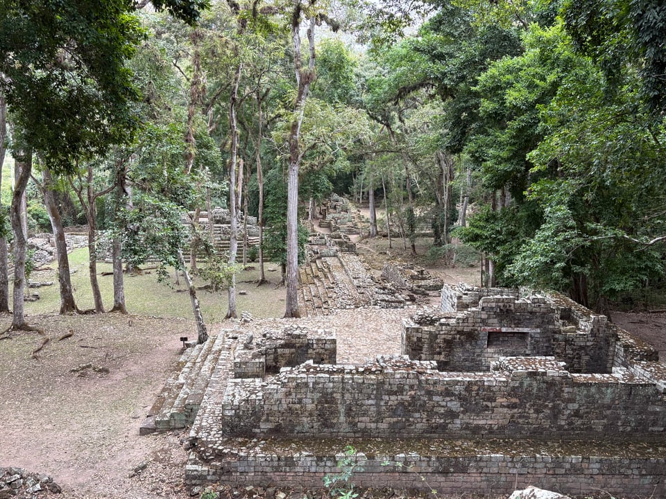 Maya ruins in a forest, with no people