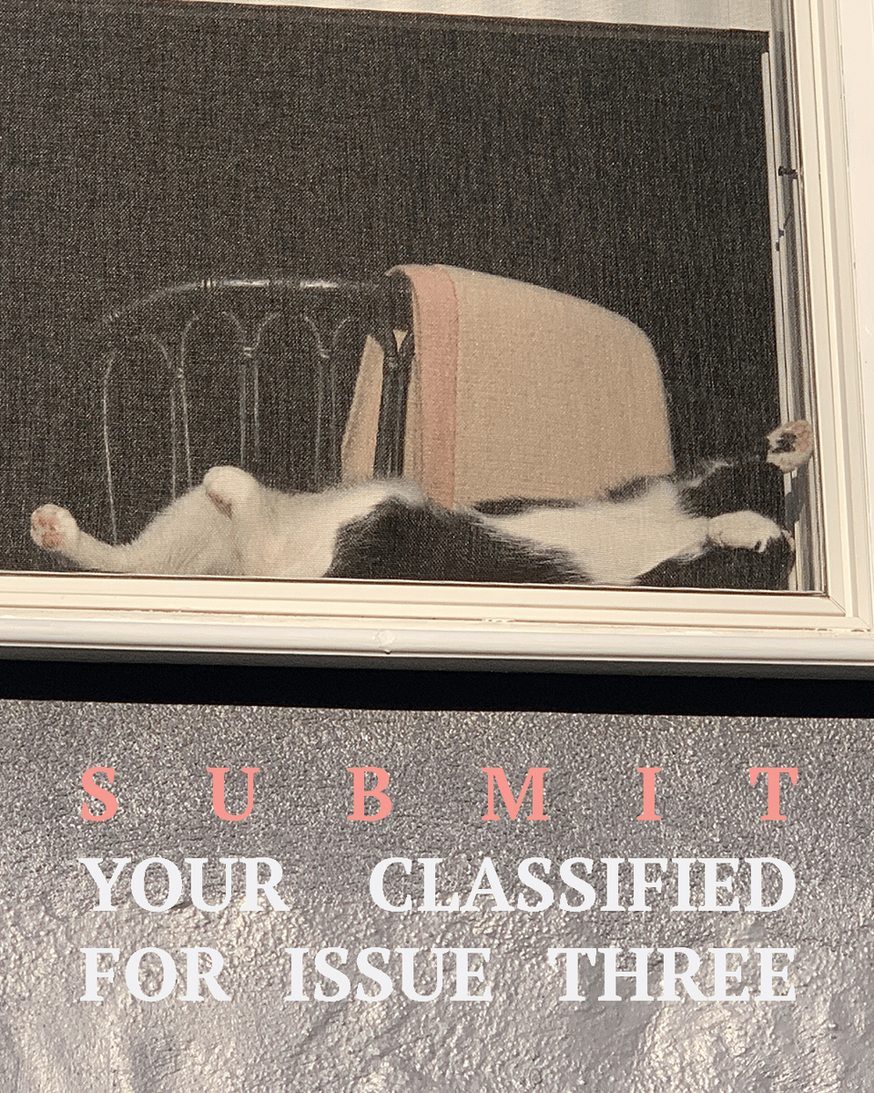 Background is a photo of a cat relaxing in a window. Overlaid text states: Submit your classified for issue three.