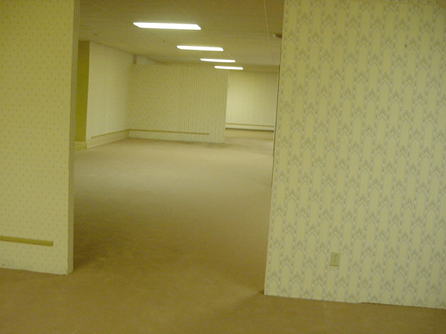 An image of a drab industrial office. The floors are dingy yellowish-greenish carpet, and the walls are covered in wallpaper of a similar color. It is lit by flourescent lights. There is no furniture, and through a gap in the wall you can see more rooms with that lead to even more rooms. It looks endless, deadening, and slightly menacing