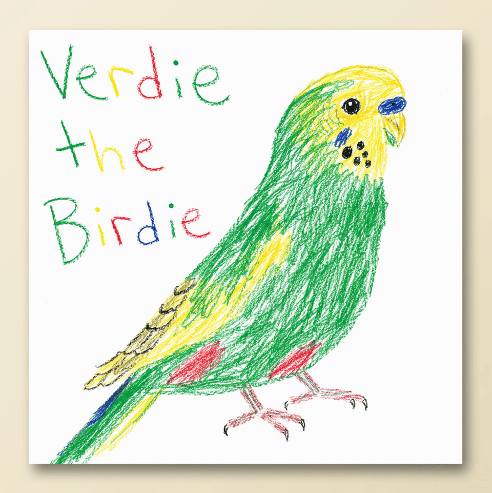 verdie the birdie