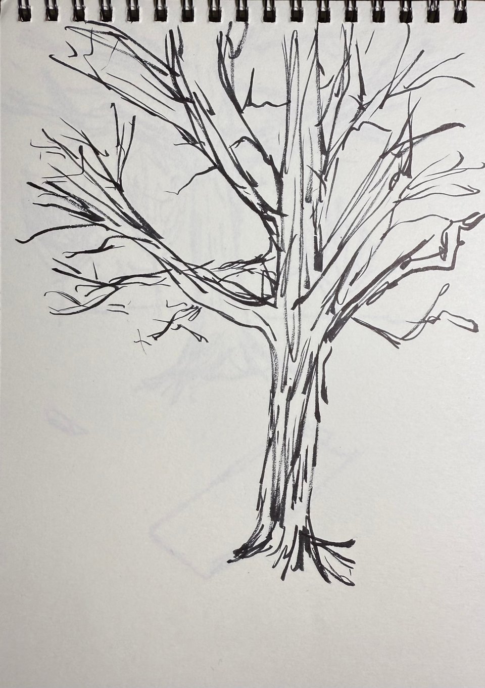 Brush pen sketch of a bare tree