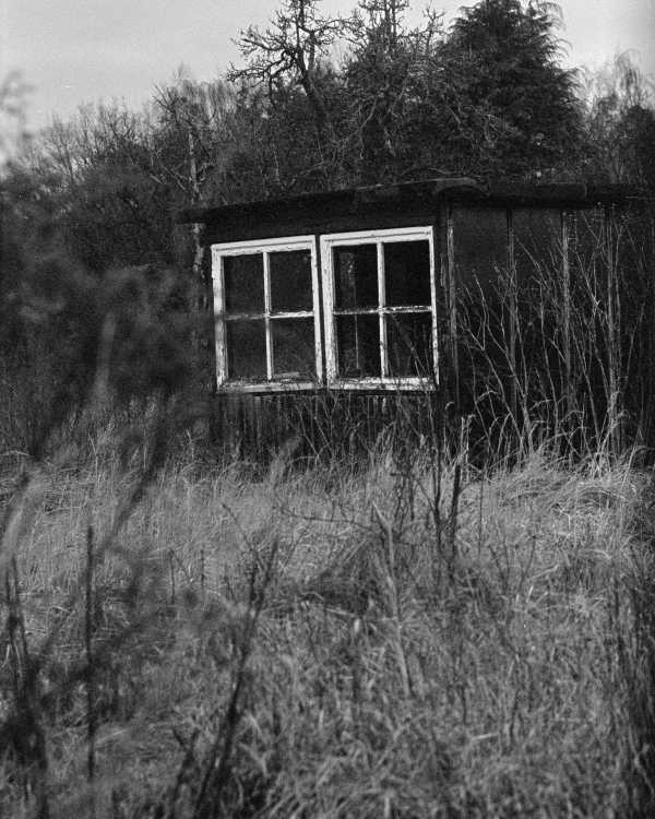 The Schrebergarten (Can 017)