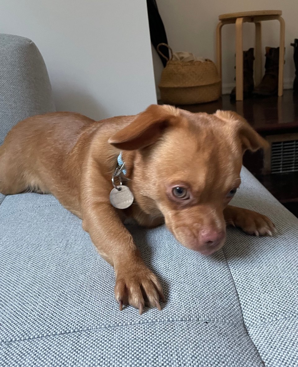 JTD Typewriter №2: Our Relationship with Monotype is Changing