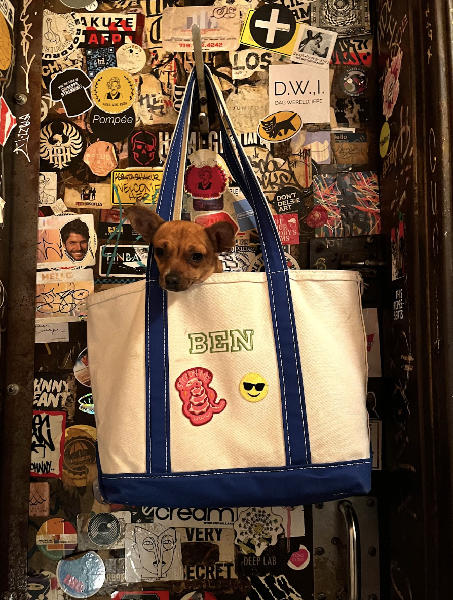A tiny chihuahua mix is peeking out of a tote bag that is hung on the wall of a bar bathroom; the wall is covered in stickers.
