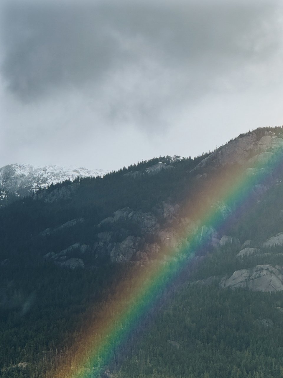 A glorious rainbow in full color, overlayed on a mountain laden with evergreens