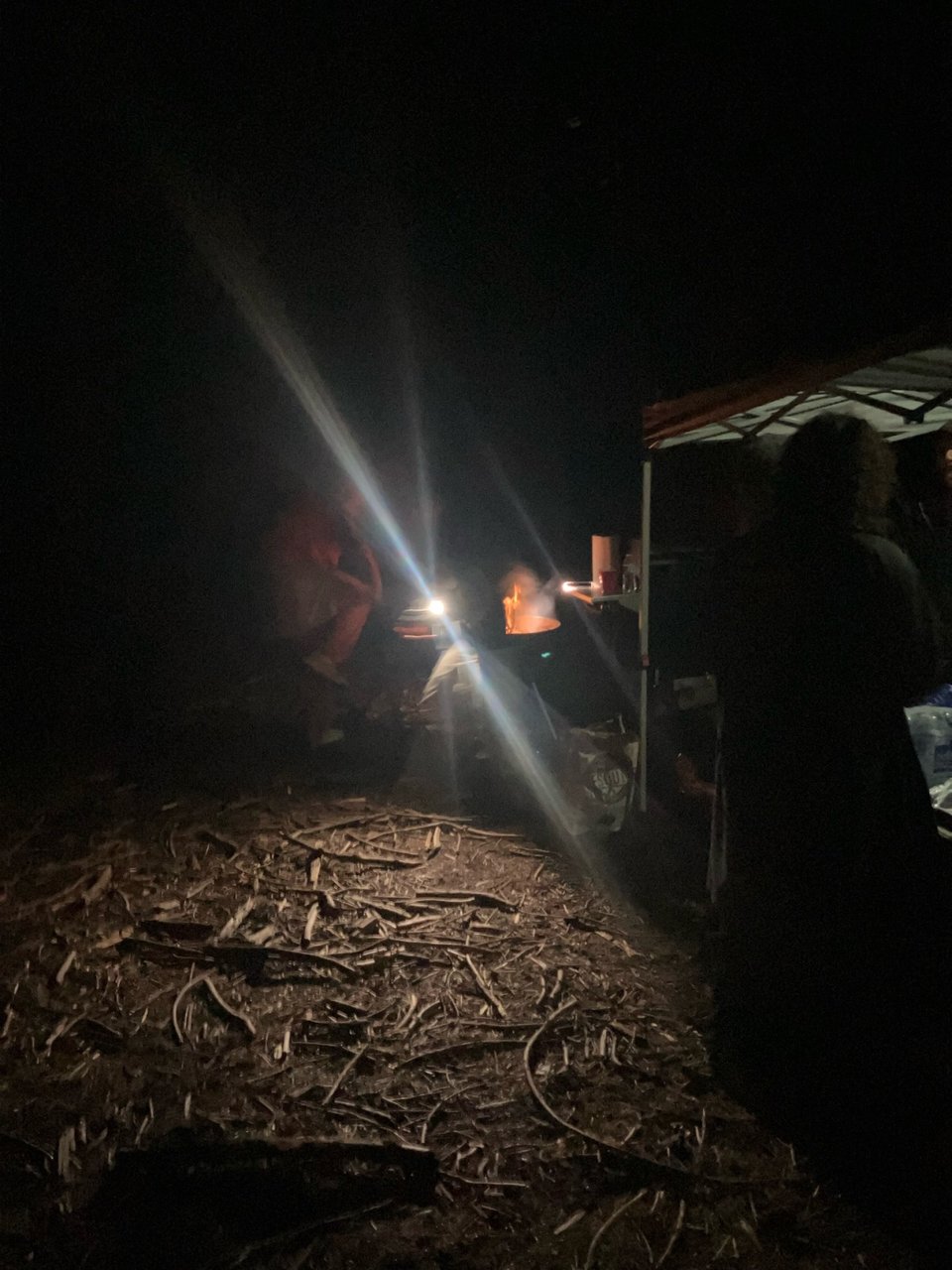 A grill being lit in a dark forest scene.