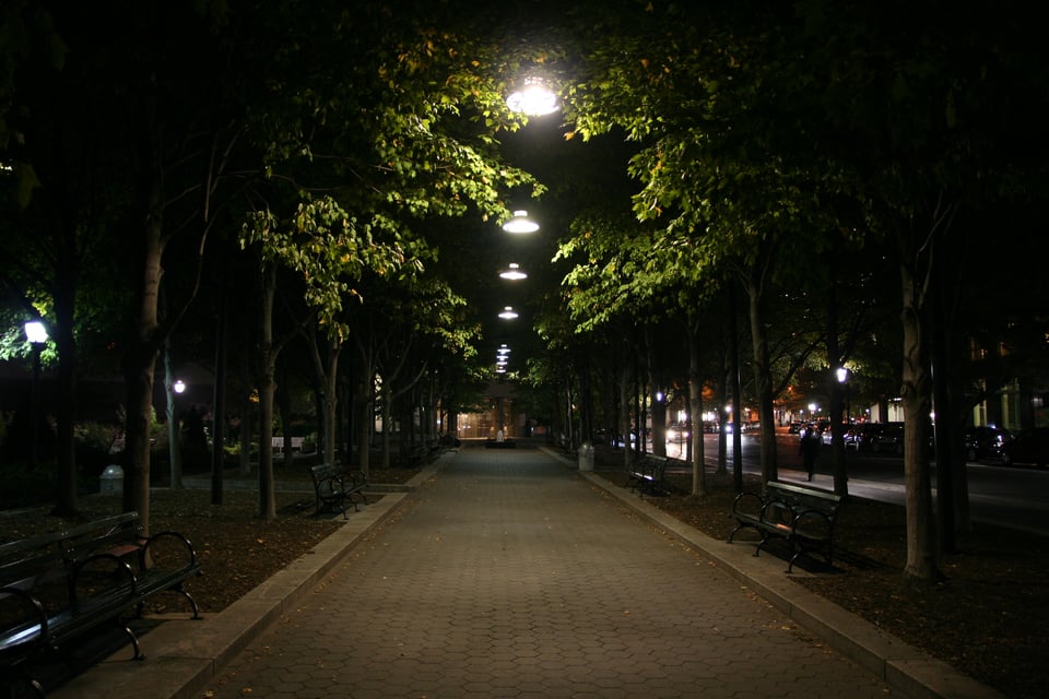 A picture of a park pathway at night with benches on either side and a light tree canopy.