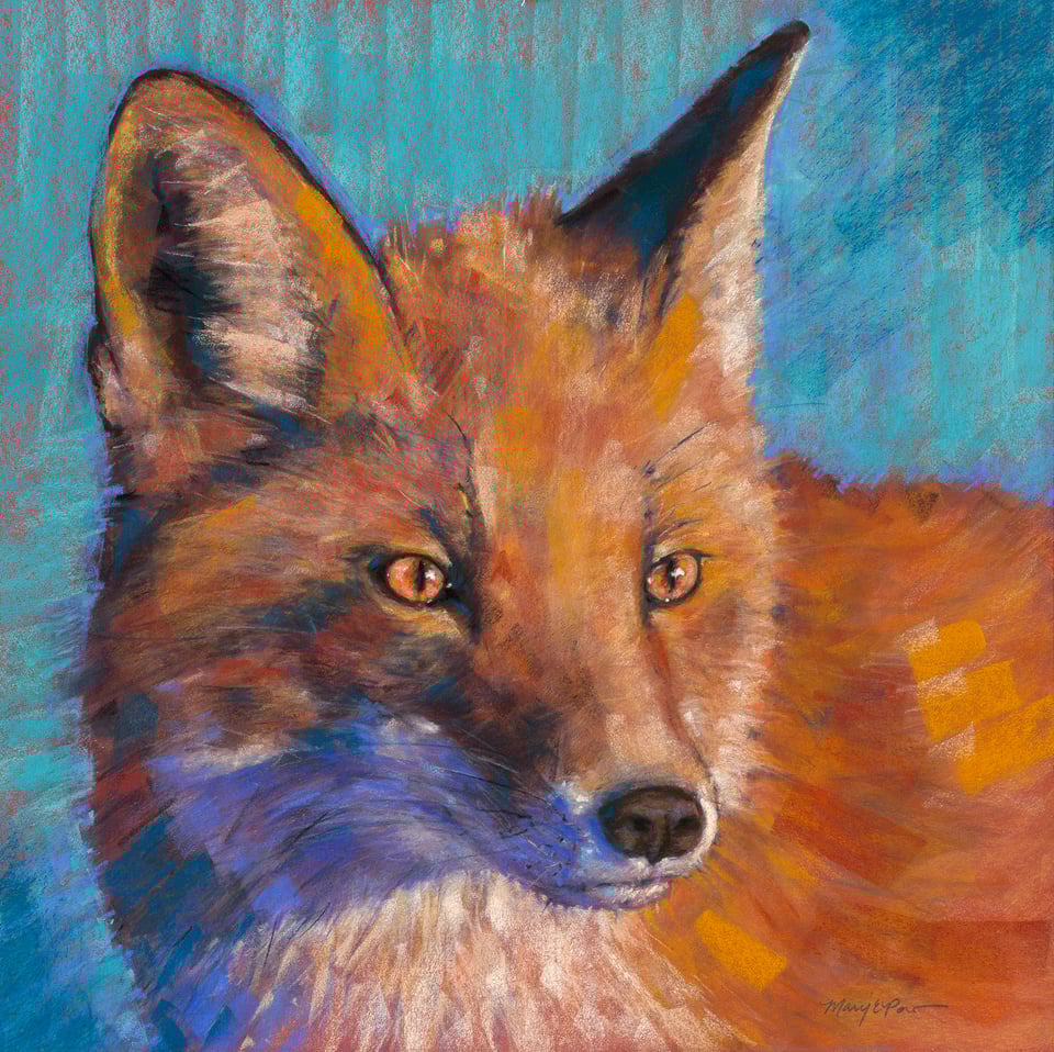 a fox