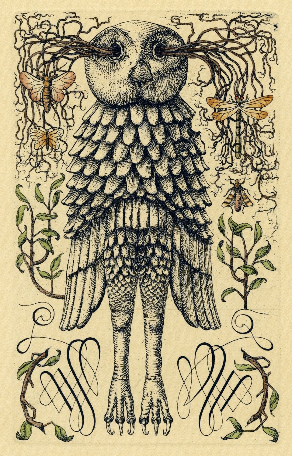 An etching of an owl figure stretching out its legs. From its eyes emerge roots and the rest of the image is decorated with leaves and moths and other insects.