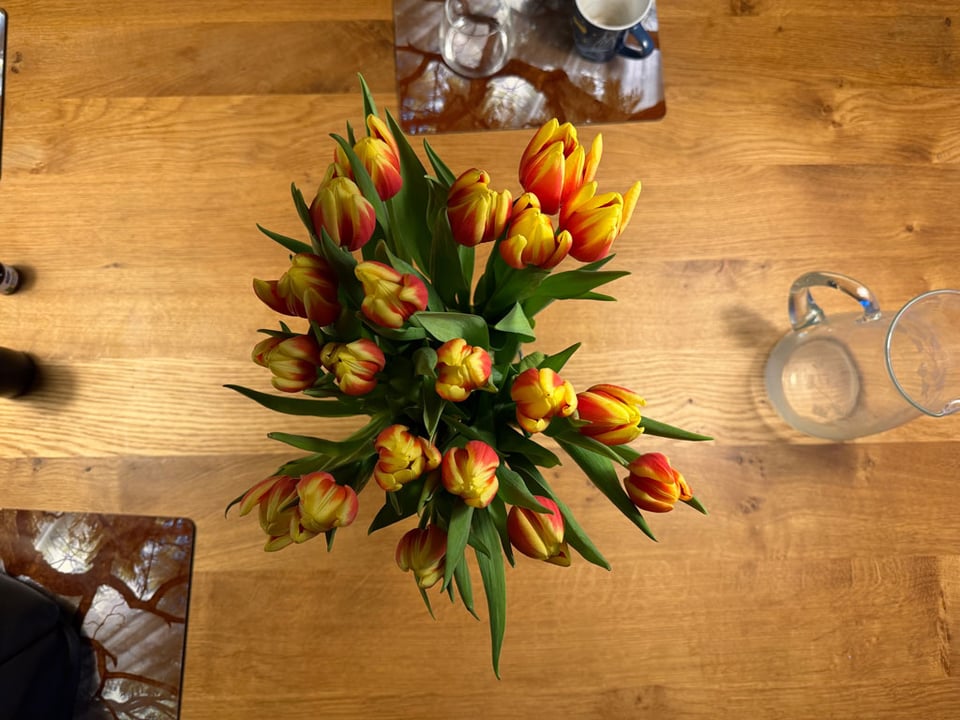 A bunch of multicolored yellow and red tulips are in a vase shot from above.