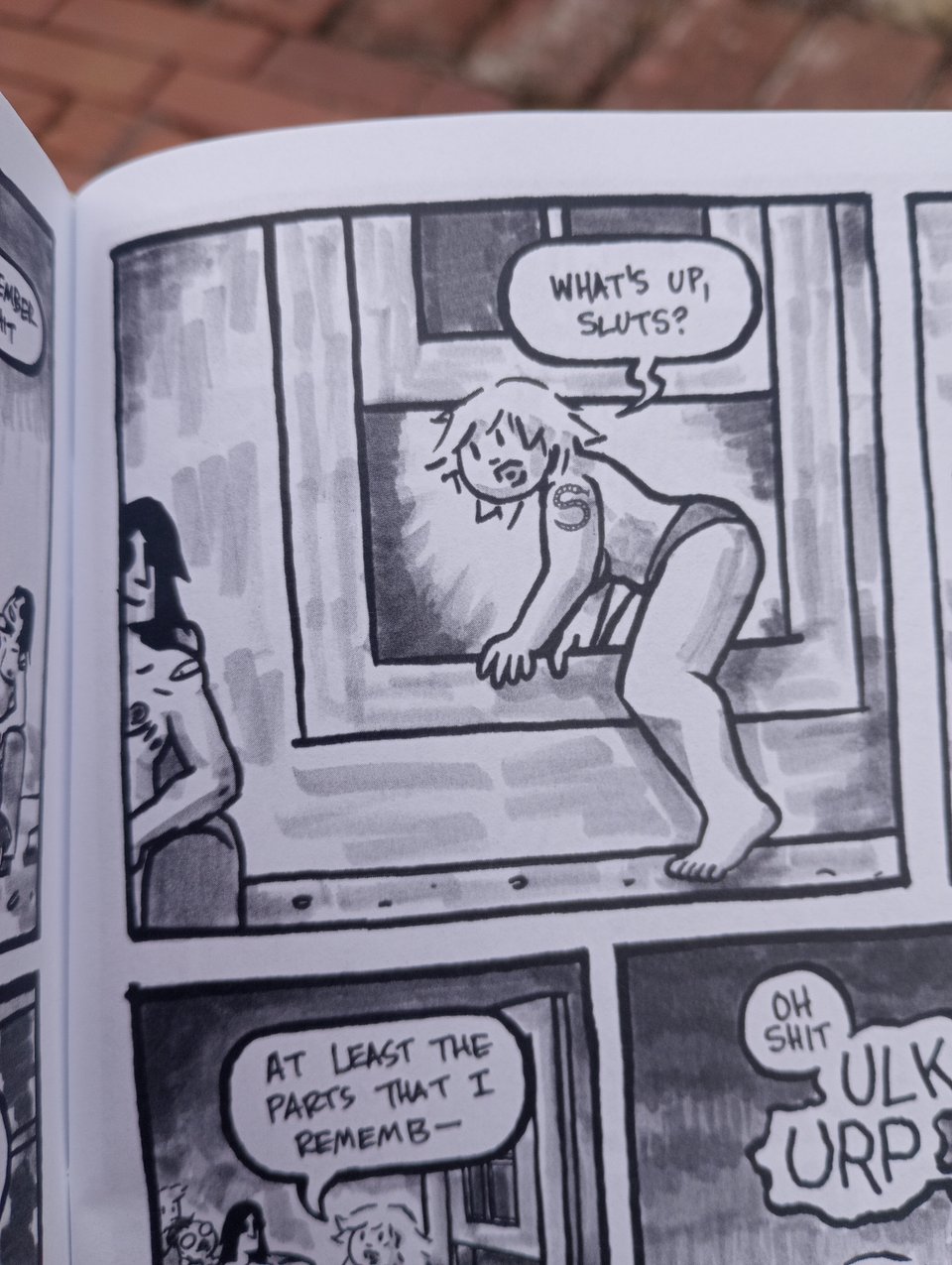 A panel from No Raccoons in Hell part one!