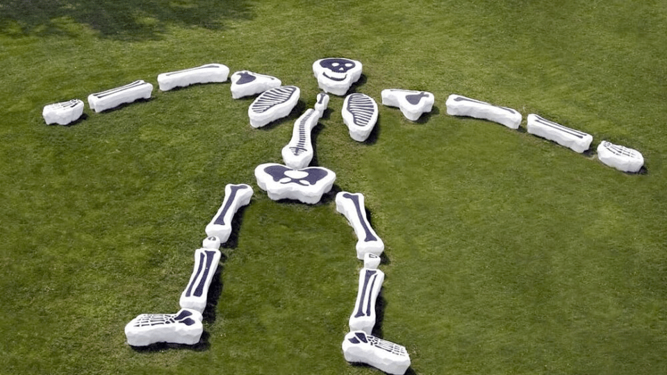 An image of the art piece known as Funky Bones near Newfields in Indianapolis