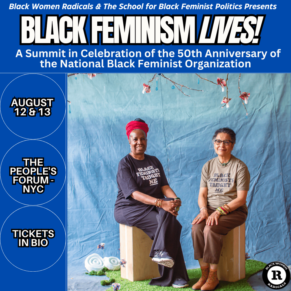 two black women sitting on boxes. one wears a red turban, their tshirts read Black Feminists Taught Me