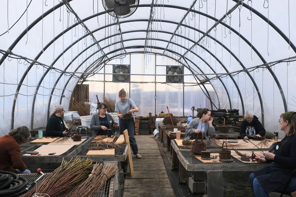 🧺 November - Alberta Basketry News