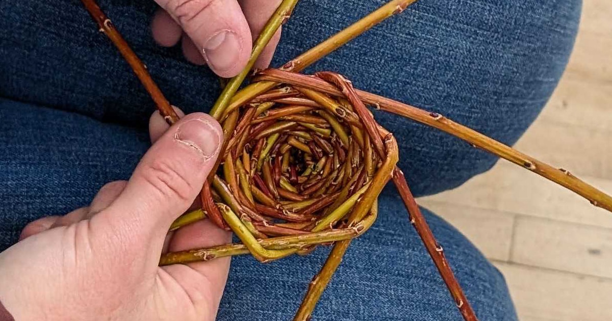 Alberta Basketry News - May 2025 