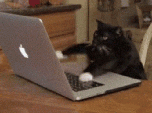 A cat typing furiously on an Apple laptop.