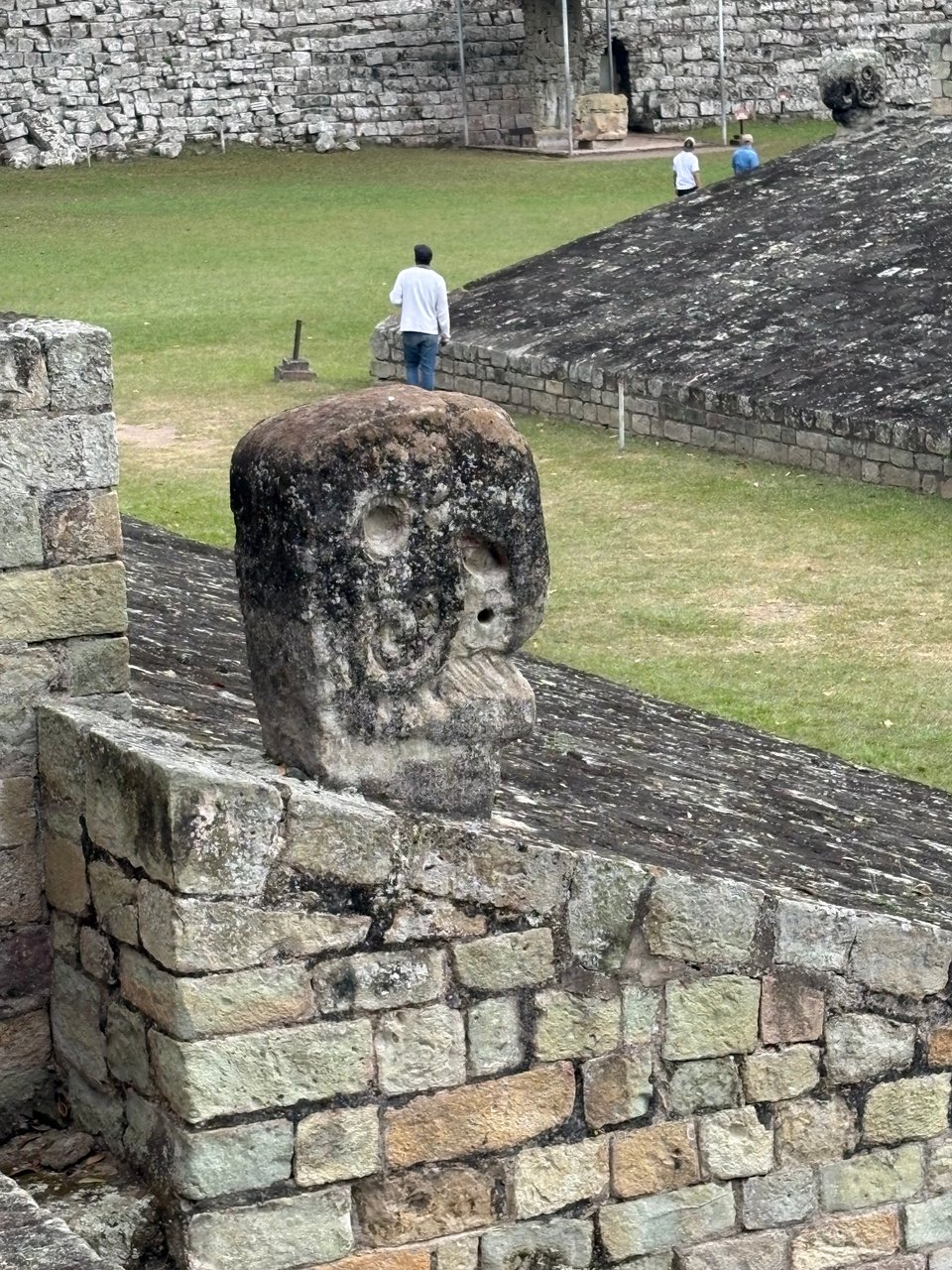 Close up of a stone sculpture of a scarlet macaw head on the sloped wall of the ballcourt