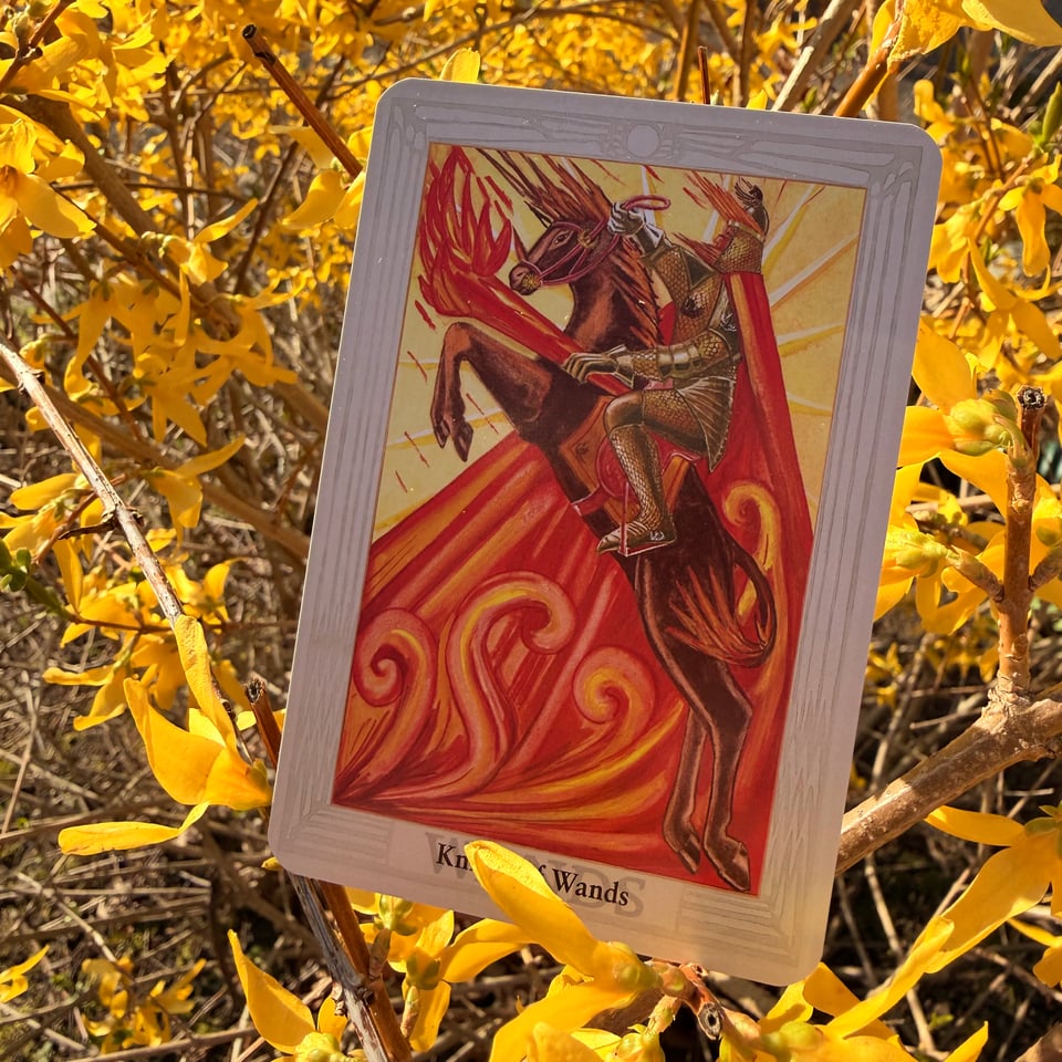 From the Thoth Tarot, by Aleister Crowley and Lady Frieda Harris