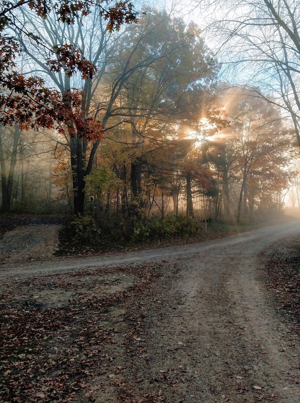 November is a month of darkening days, but its unique slanted light, especially in the morning and evening, is remarkably beautiful. / Photo by Jake Gaster