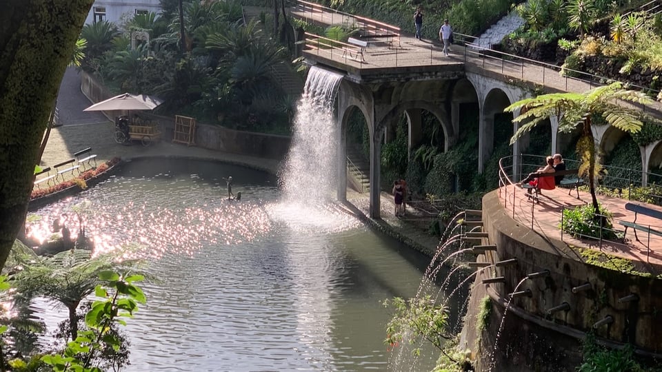 A photo I took today