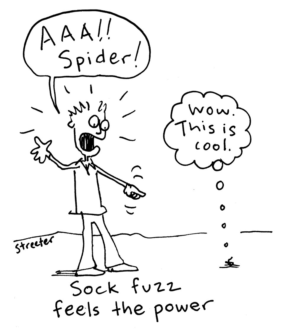 Cartoon about sock fuzz being mistaken for a spider