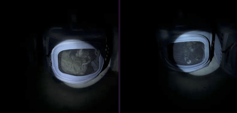 On the left, a tabby named Metronome illuminated by a flashlight while in a carrier. To the right, a tortie named Bellchime also illuminated by a flashlight while in a carrier.